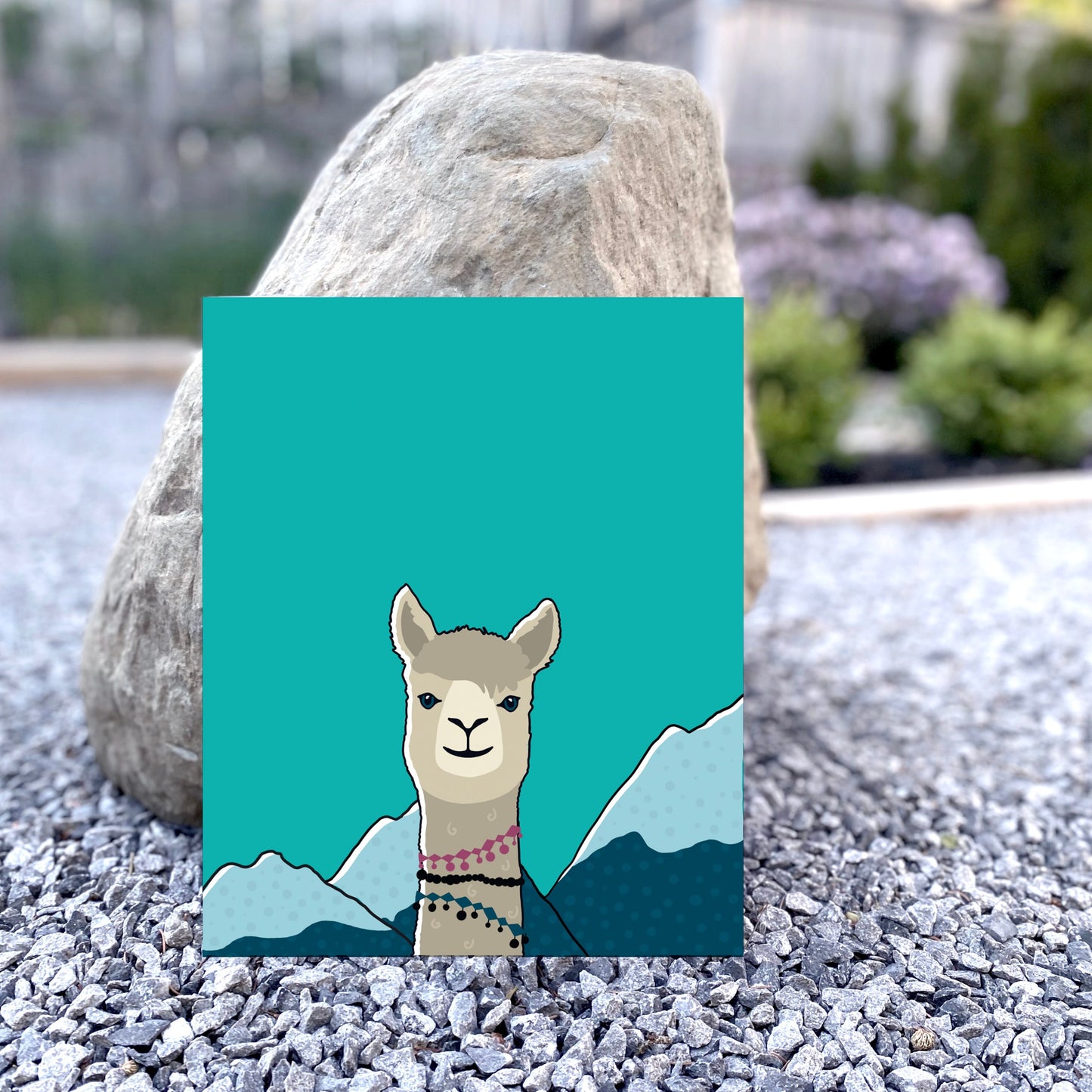 The Alpaca | Wild Collection
