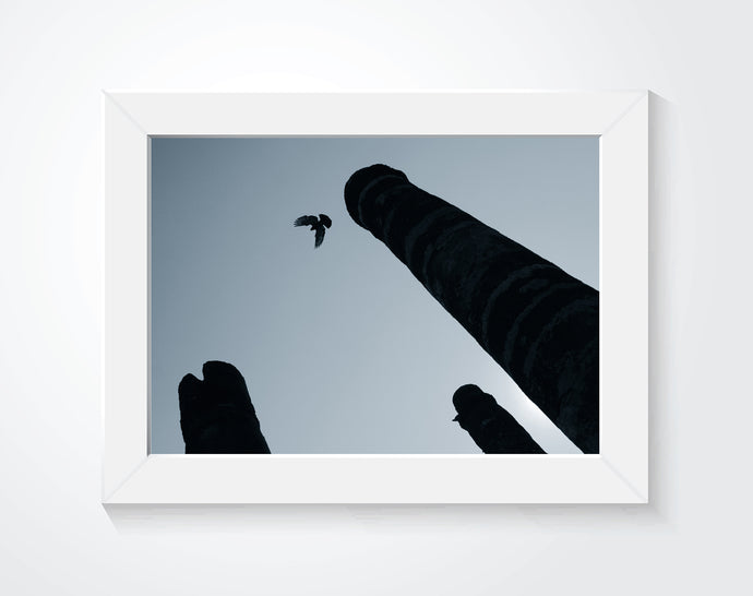 A framed photograph of a bird flying by ruins.